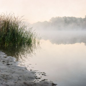 Утренний туман